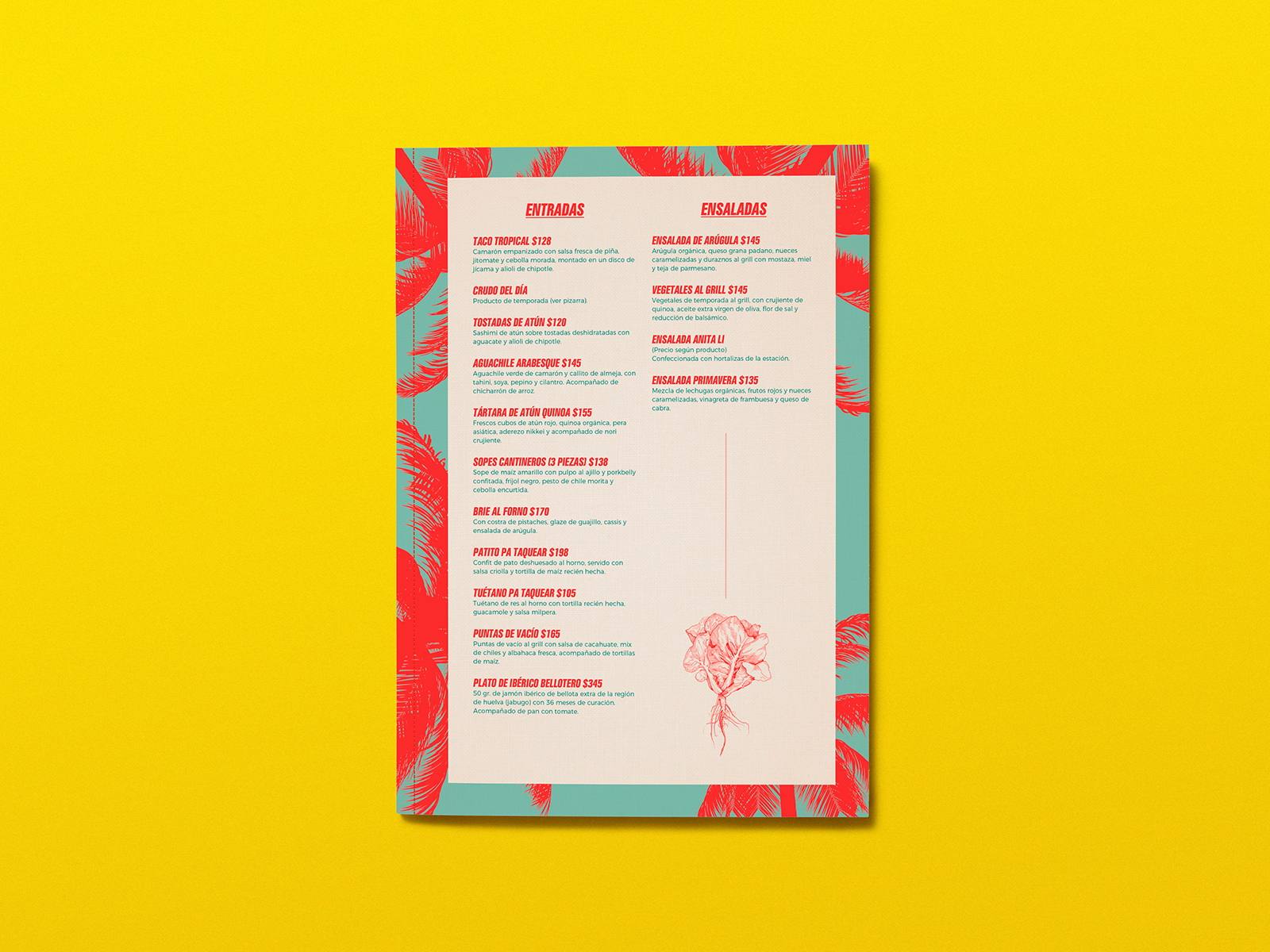 Anita_Comida_MockUp